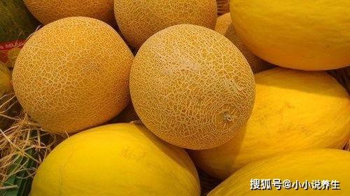 吃哈密瓜滋阴,夏日消暑养生佳品