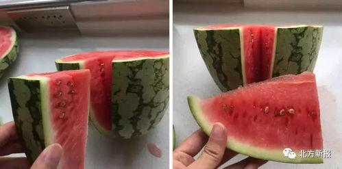 法国吃瓜视频大全,吃瓜视频大全带你领略异国风味