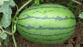 17今日吃瓜网,17今日吃瓜网独家爆料