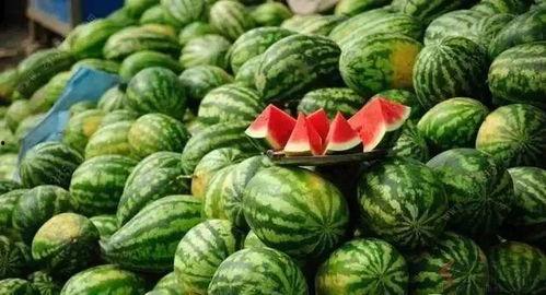 如何看吃瓜网,网络舆论场中的“瓜田”观察