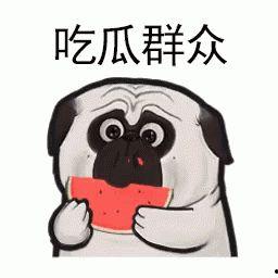 满级大佬带你吃瓜,满级大佬带你领略吃瓜界的风云变幻