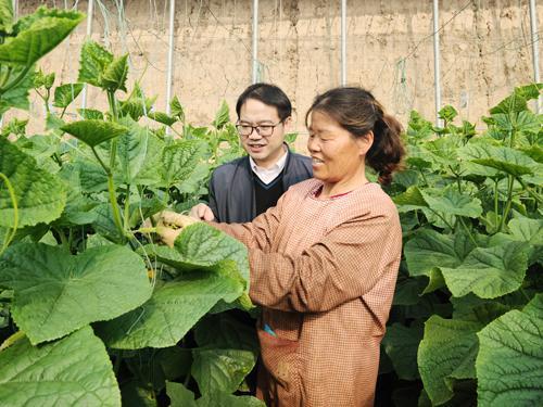 邢台吃瓜新事件,揭秘背后真相与热议焦点
