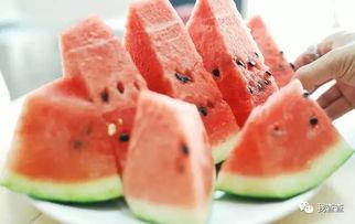 瓜挖着吃,尽享挖食乐趣