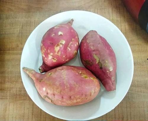 蕃薯吃瓜,探寻田园美食新风尚