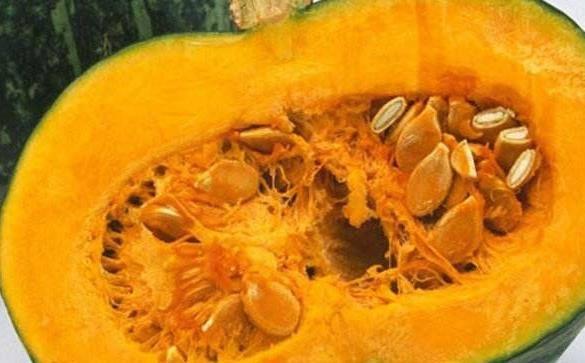 蕃薯吃瓜,探寻田园美食新风尚