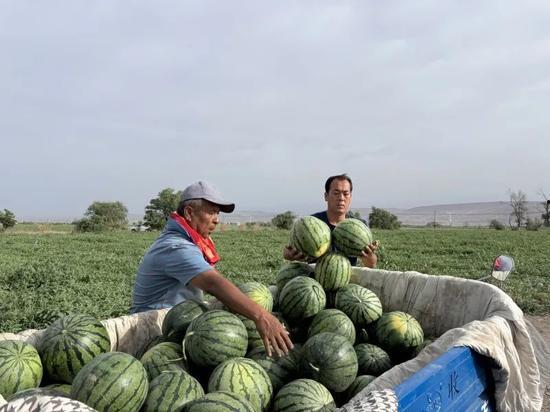 日照广场吃瓜,夏日吃瓜盛宴，共享清凉时光