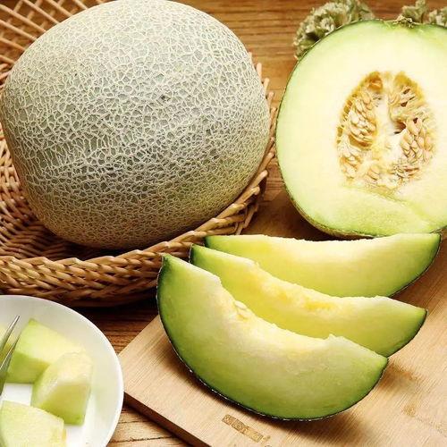 蜜瓜吃的上火,如何科学食用？