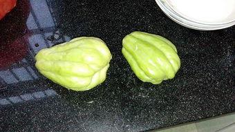 洋瓜根茎怎么吃,洋瓜根茎的多样食法探索