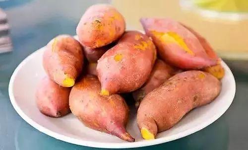 洋瓜根茎怎么吃,洋瓜根茎的多样食法探索