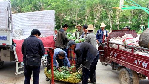 睢县吃瓜群众案件,网络舆论下的法律边界与道德拷问
