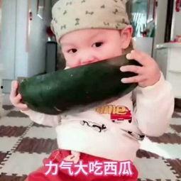 小师爷吃瓜视频全集,揭秘娱乐圈幕后真相