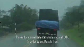 小师爷吃瓜视频全集,揭秘娱乐圈幕后真相