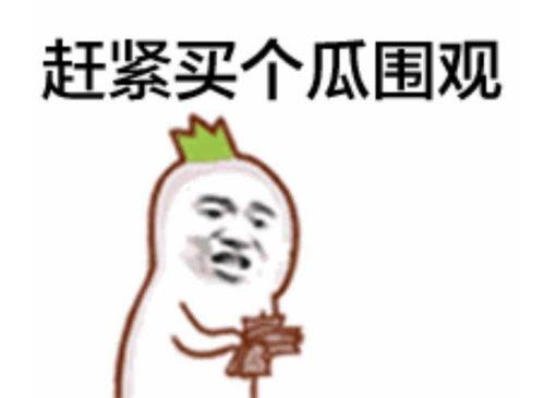 南京群众吃瓜视频集锦,趣味视频集锦大揭秘