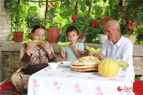 老汉瓜咋吃,老汉瓜的多样食用方法揭秘