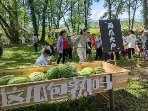 林二吃瓜,揭秘娱乐圈背后的那些事儿