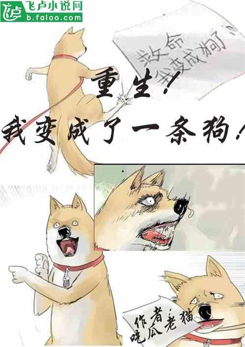 猫蛇狗吃瓜,揭秘宠物界的趣味生活