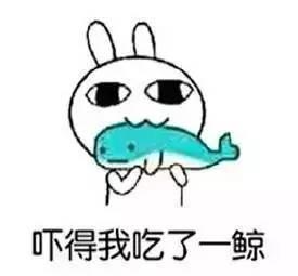 吃瓜南航,揭秘航空业背后的趣味故事