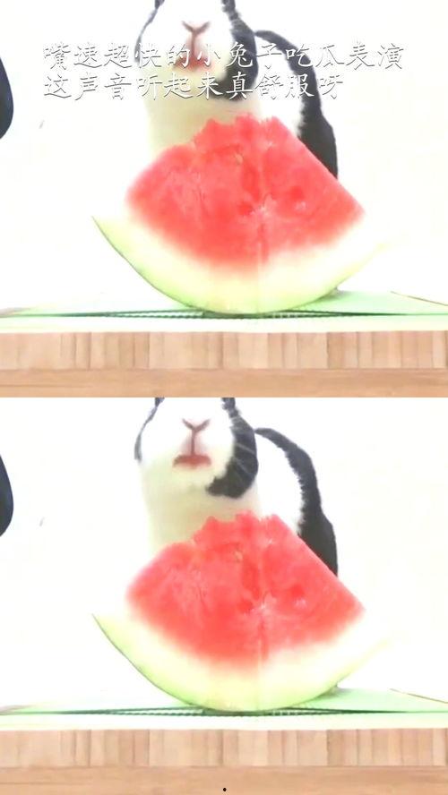 吃瓜超快的人,揭秘娱乐圈的瞬间风云