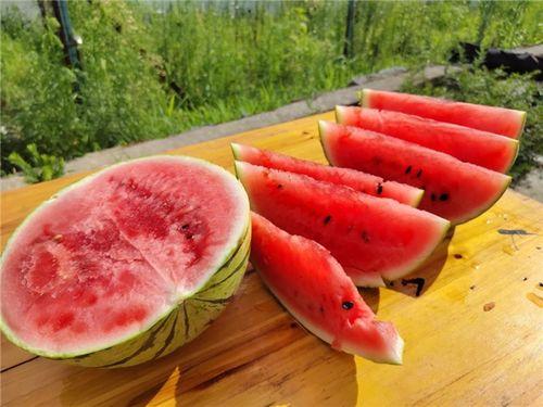 如何知道瓜熟了没有吃,如何判断瓜果是否成熟