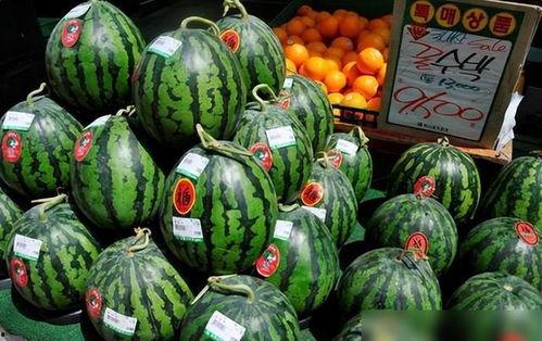 震惊韩国人吃瓜,吃瓜群众揭秘惊人内幕