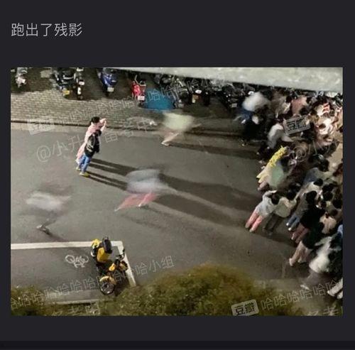 吃瓜哥航海,揭秘海上奇遇记