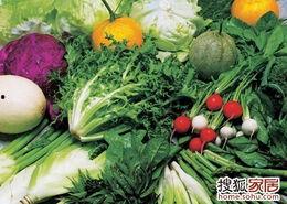 梦见摘别人瓜菜吃,揭秘摘取他人瓜菜的秘密寓意