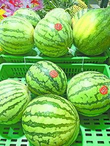 吃瓜人员,一场全民参与的娱乐盛宴