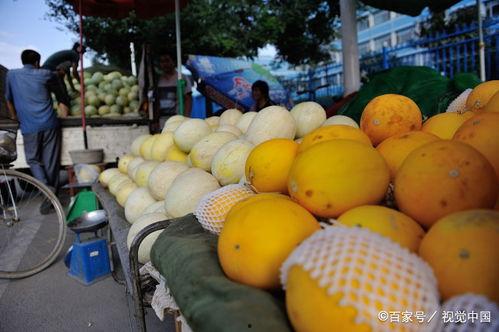 梦见吃黄河蜜瓜,揭秘黄河蜜瓜的奇幻之旅