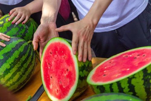 广艺大学吃瓜,揭秘校园里的那些事儿