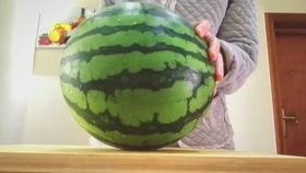 吃巨大的瓜视频,揭秘吃瓜视频背后的惊人场面