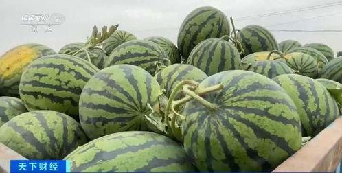 社会吃瓜网,揭秘娱乐圈幕后故事，带你领略真实娱乐圈