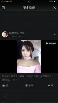 快手网红吃瓜资源韩婧格