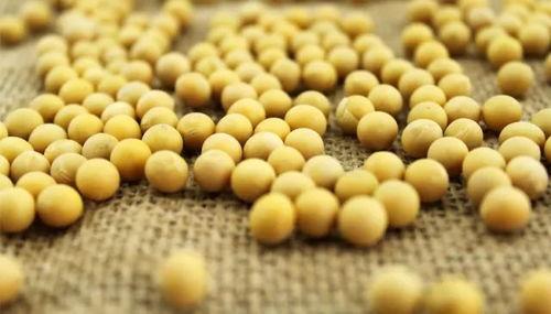 胃酸吃黄豆瓜,揭秘消化之谜