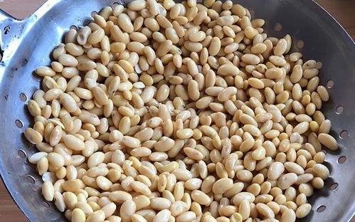 胃酸吃黄豆瓜,揭秘消化之谜