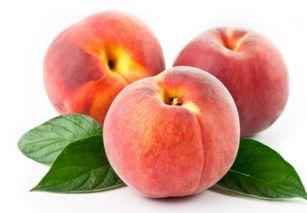 兰州吃蜜瓜,探寻兰州蜜瓜的独特魅力