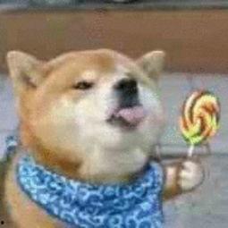 吃瓜加狗头表情,揭秘网络热梗背后的趣味与思考