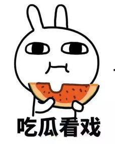 见过仙女吗吃瓜,揭秘“见过仙女吗”背后的神秘故事