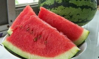 买西瓜吃瓜大赛