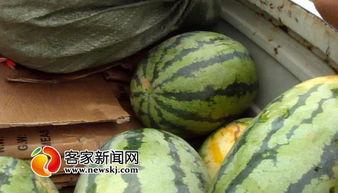 吃货瓜,探寻美食瓜的味蕾之旅