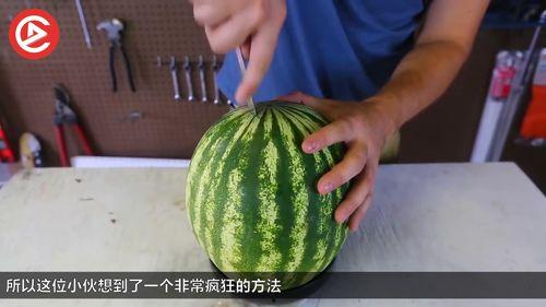 老外吃瓜的做法,揭秘老外吃瓜的独特姿势与趣味瞬间