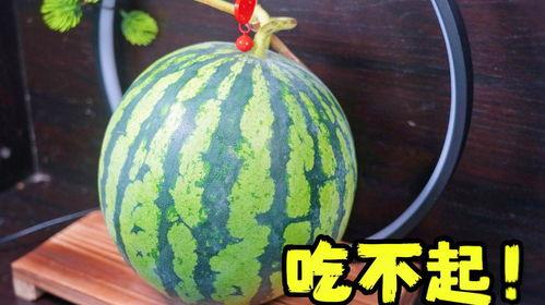 老外吃瓜的做法,揭秘老外吃瓜的独特姿势与趣味瞬间