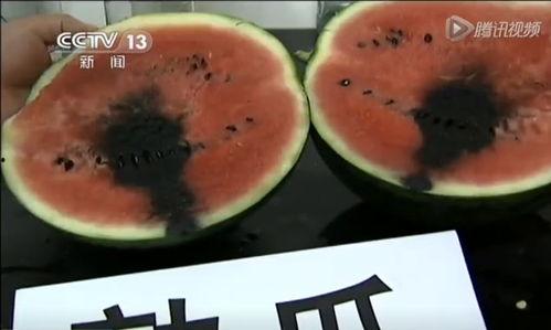 我们的师傅吃瓜视频