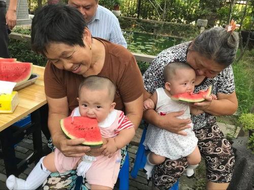 魏县带娃吃瓜,带娃吃瓜，共享夏日欢乐