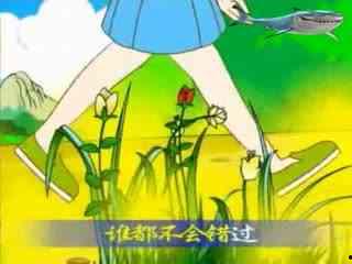 吃两瓜儿歌,夏日消暑的趣味旋律