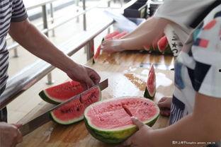 海南画室吃瓜,一场别开生面的“吃瓜”盛宴