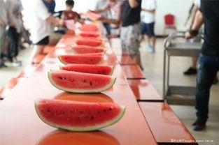 海南画室吃瓜,一场别开生面的“吃瓜”盛宴