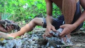 aaa吃瓜专业户,揭秘娱乐圈吃瓜专业户的幕后故事