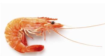 吃瓜可以吃虾尾吗视频,揭秘吃瓜也能搭配虾尾的神奇搭配