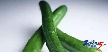 癌症可以吃小瓜吗,小瓜的适宜摄入与禁忌