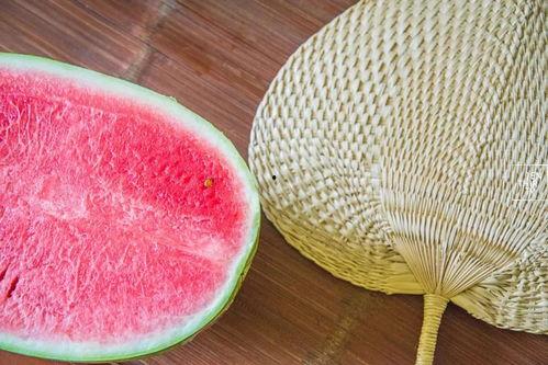 全家都在吃瓜,共度欢乐时光